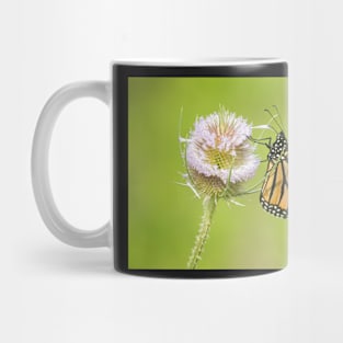 Raymore's Monarch Mug